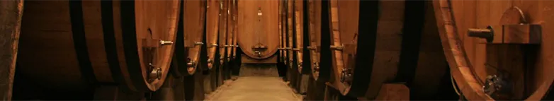 Wine Coolers