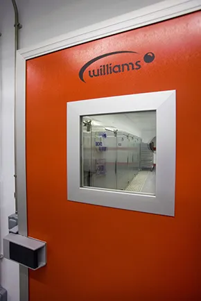 Door with viewing panel